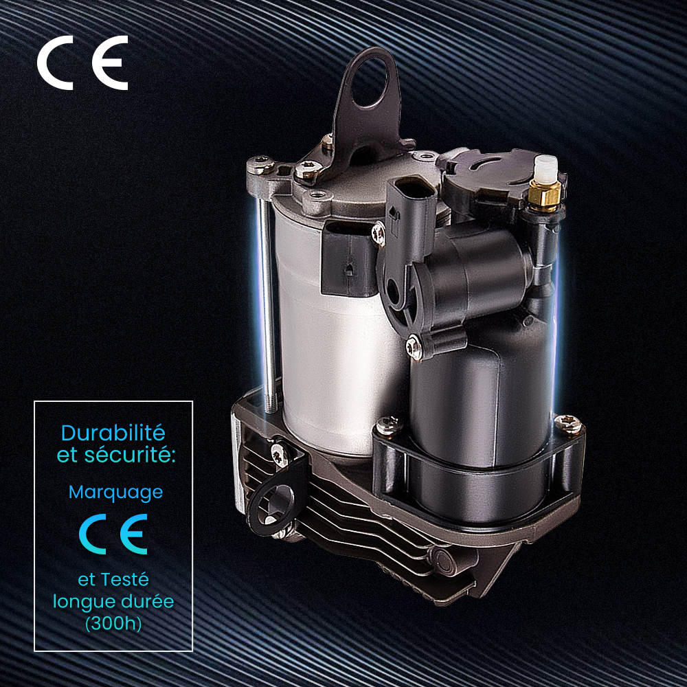 suspension pneumatique compresseur Airmatic compatible pour Mercedes-benz S w221 W216 new