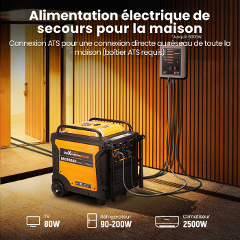 Groupe électrogène inverter à Lessence Generateur Electrique 8kw Pour Camping