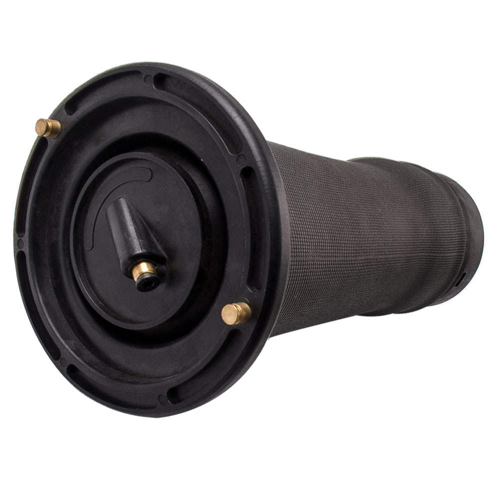 Rear Air Suspension Spring Bag Shock Strut RKB101200 for LAND ROVER