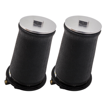 Paire Arrière Suspension Pneumatique Ressort RKB101460 compatible pour Range Rover P38