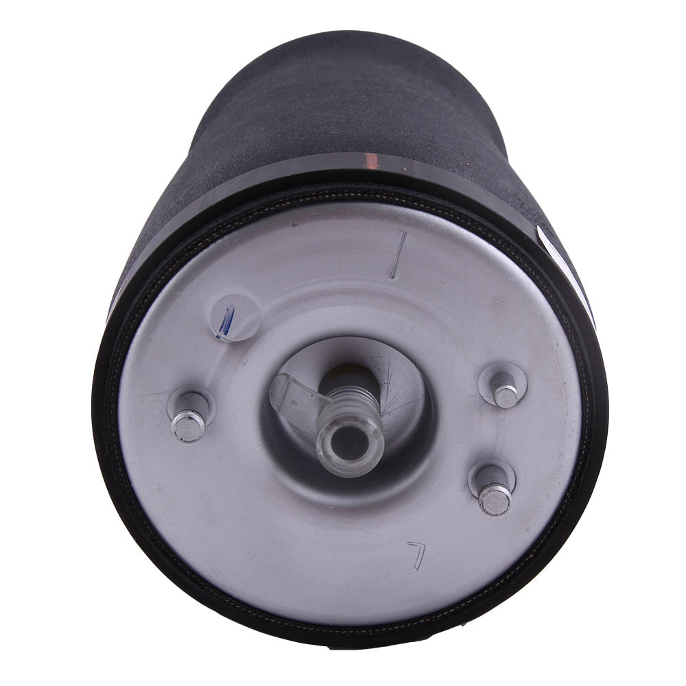 Arrière Gauche Suspension Coussin Pneumatique compatible pour BMW 5 Serie e39 37121094613