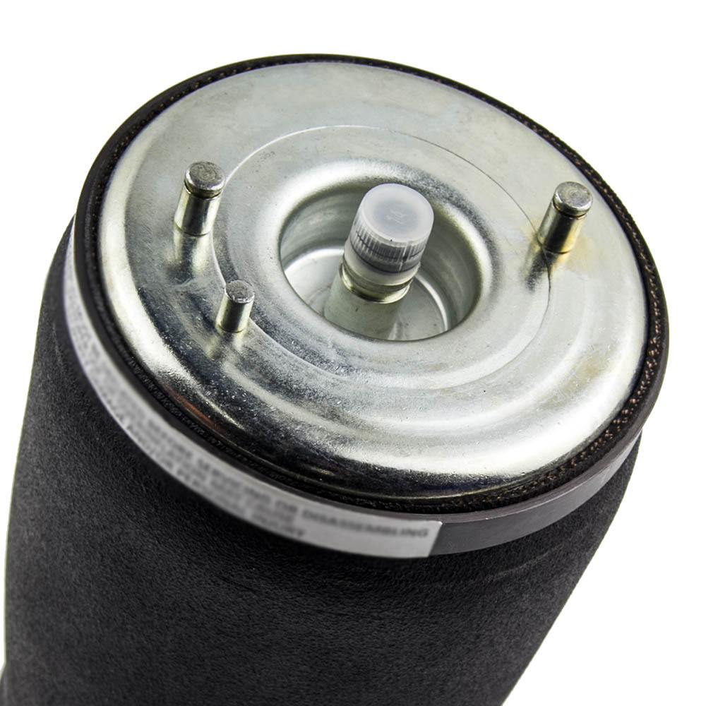 Arrière Gauche Suspension Coussin Pneumatique compatible pour BMW 5 Serie e39 37121094613