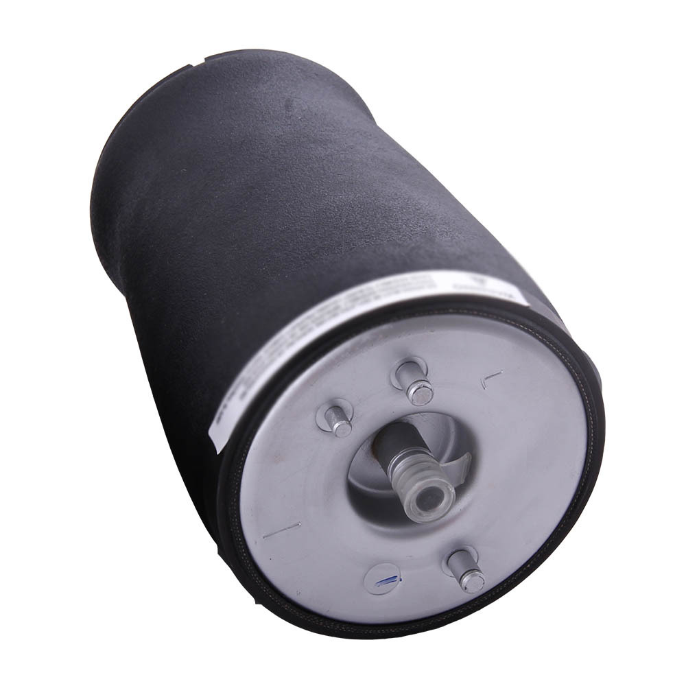 Arrière Gauche Suspension Coussin Pneumatique compatible pour BMW 5 Serie e39 37121094613