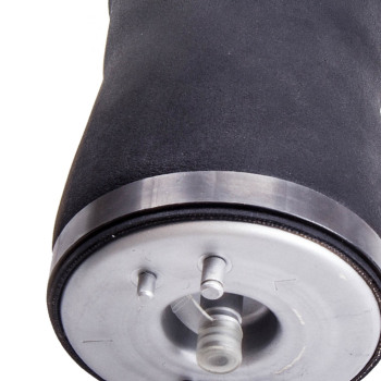 Rear Left Air Suspension Bag Shock Strut compatible for BMW E53 X5 Sport 00-06 37126750355