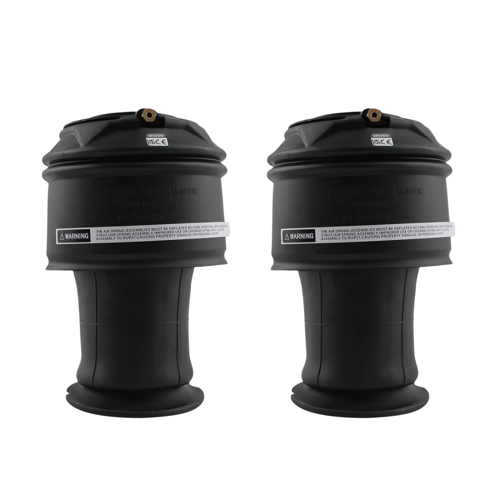 2x Arrière Suspension Pneumatique compatible pour Citroen C4 Picasso 06-13 5102R8 5102GN