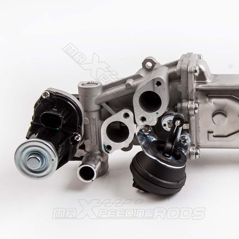 EGR Válvula compatible para VW Golf VI 1.6TDI 2.0TDI Pasado 1.6TDI compatible para Seat AlteaXL 03L131512CF
