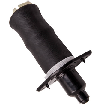 Compatible para Audi A6 C5 (4B) Amortiguador Neumático Trasera Izquierda Allroad Quattro