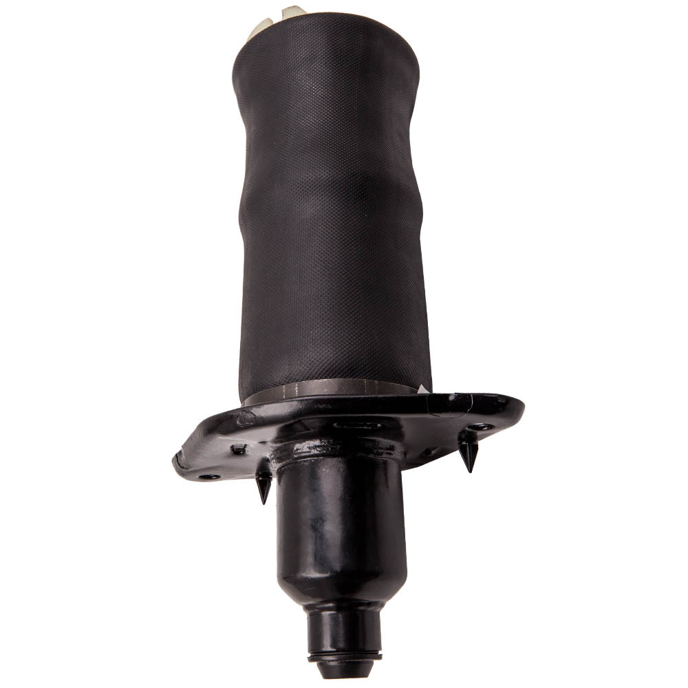 Compatible para Audi A6 C5 (4B) Amortiguador Neumático Trasera Izquierda Allroad Quattro