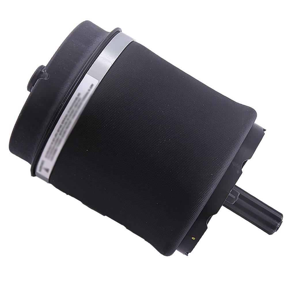 Coppia Aria Posteriore primavera compatibile per Land Rover Range L322 RKB500082/RKB000150