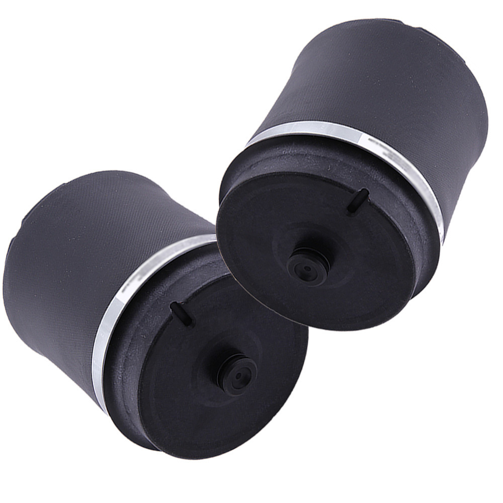 Coppia Aria Posteriore primavera compatibile per Land Rover Range L322 RKB500082/RKB000150