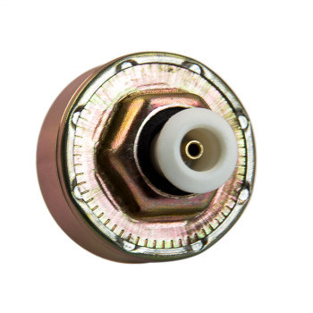 Dual Knock Sensors Sensor compatible for Holden Commodore LS1 GEN3 VT VX VZ VY compatible for V8 5.7L 6.0L