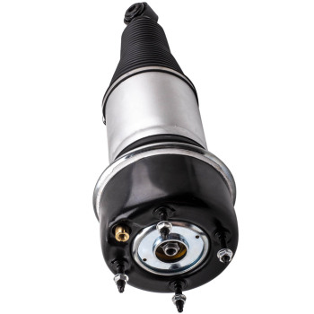 Trasera Suspensión Neumática compatible para Jaguar XJ Vanden XJ8 XJR 2003-2009 C2C41340