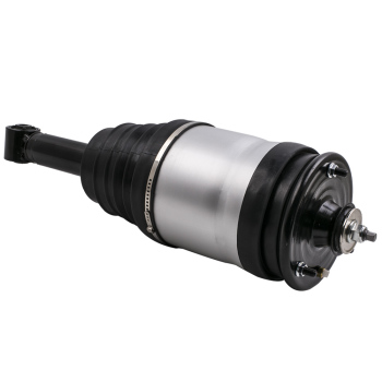 Compatibile per Land Rover LR3 Ammortizzatore Sospensione Pneumatica Posteriore RPD501090