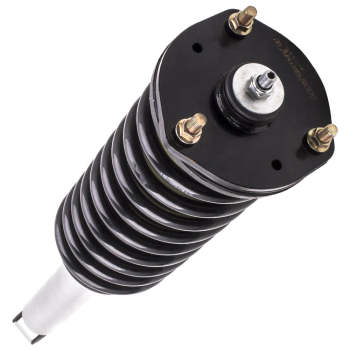 Compatible for Lexus LS430 2001-2006 Rear Air to Coil Spring Suspension Conversion Kits Lowering Kit