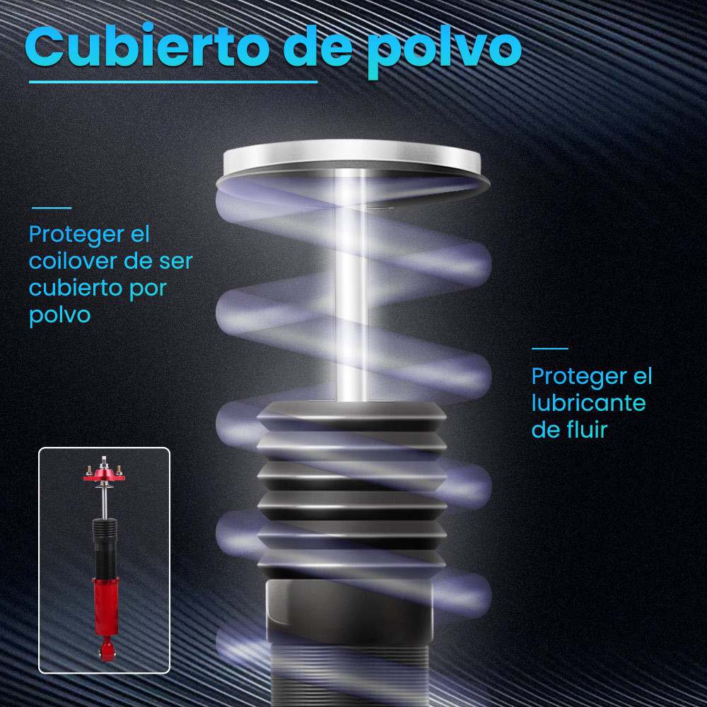 Maxpeedingrods Suspensión de coilovers ajustables en altura Compatiblepour compatible para BMW 3 Convertible (E36) 318i; 320i; 323i; 325i; 328i; (03/1993-04/1999)