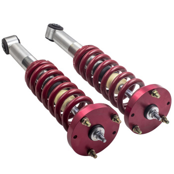 Front Struts  Rear OEM Repacement Shocks compatible for Ford F-150 04-08 Mark LT 06-08 RWD