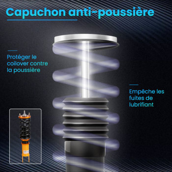 Amortisseurs combinés filetés compatible pour Honda S2000 AP1 AP2 Amortisseur Strut Adj. amortisseurkit d'abaissement