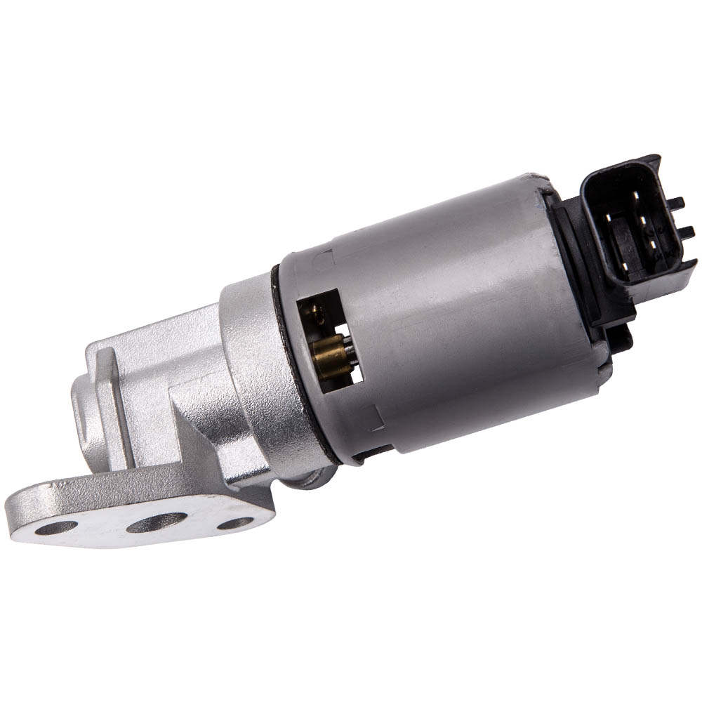 Exhaust Gas Recirculation Valve w/Gasket (For 3.3L/3.8L) Fit...