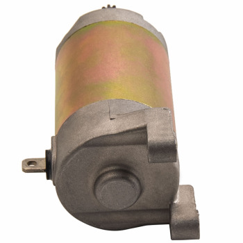 12V Motorino di Avviamento compatibile per Yamaha ATV YFM 250 compatibile per Raptor Motorcycle XT250