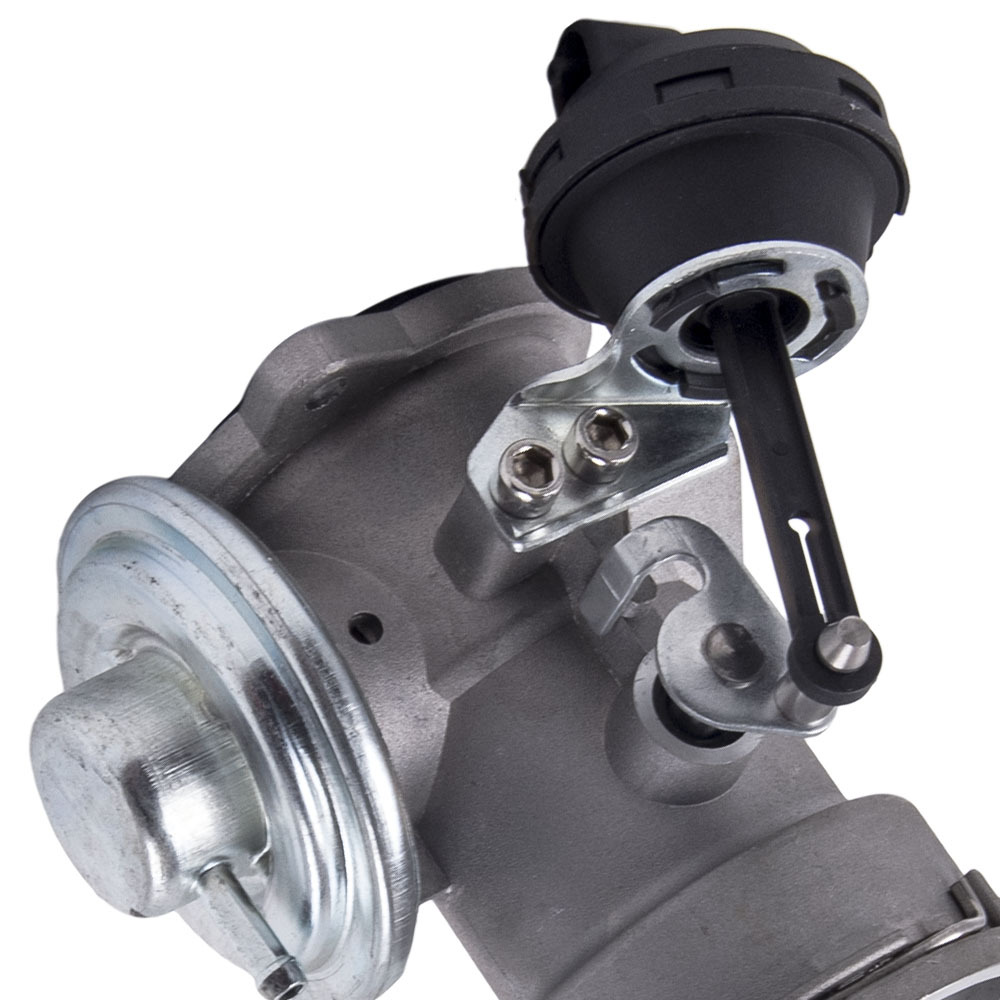 Cilindro Agr EGR compatible para VW t5 Transporter Multivan Sharan compatible para Audi A4 B6 A6 C5 1.9 TDI