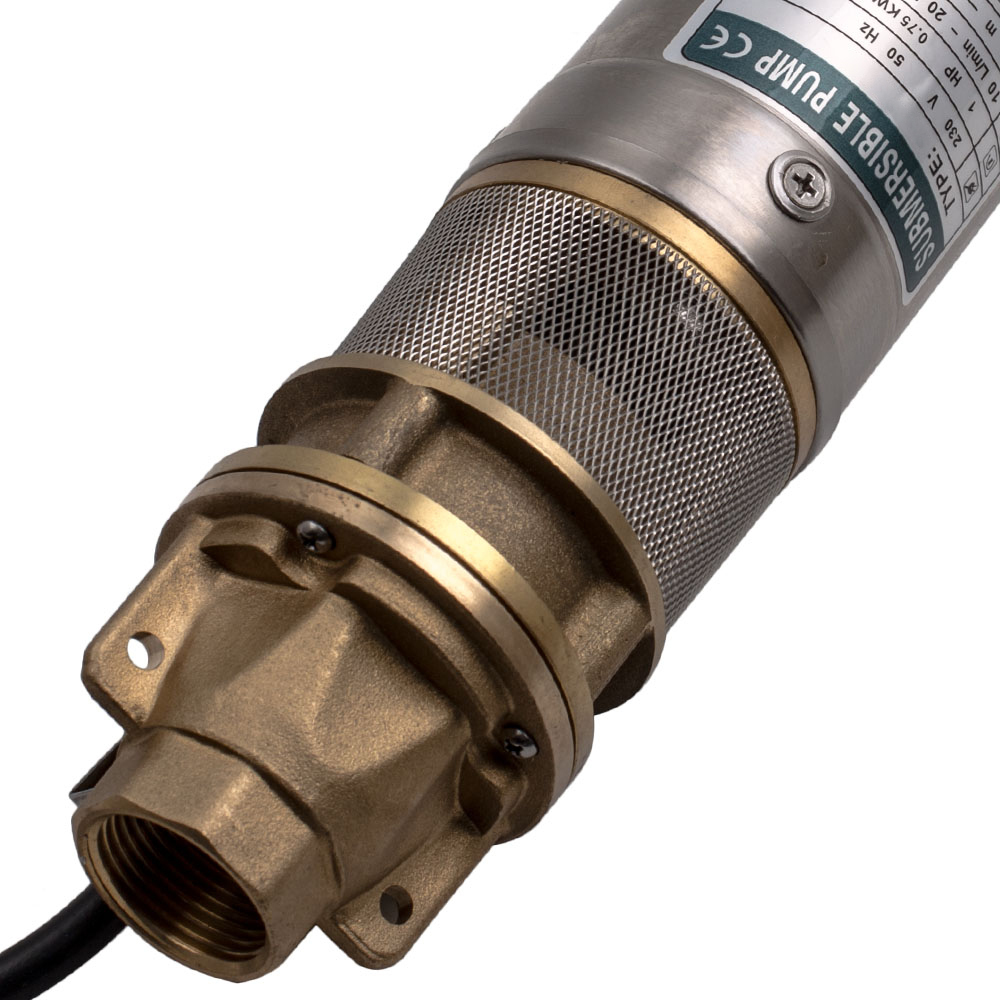 0.75KW Bomba de pozo profundo sumergible sumergida Acero inoxidable Agua 