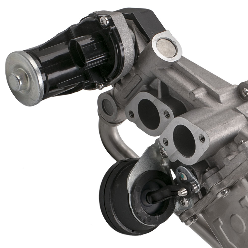 Válvulas EGR compatible para VW Polo compatible para Audi A1 compatible para Seat Ibiza compatible para Skoda 1.6 TDI 03L131512 BH BK AS