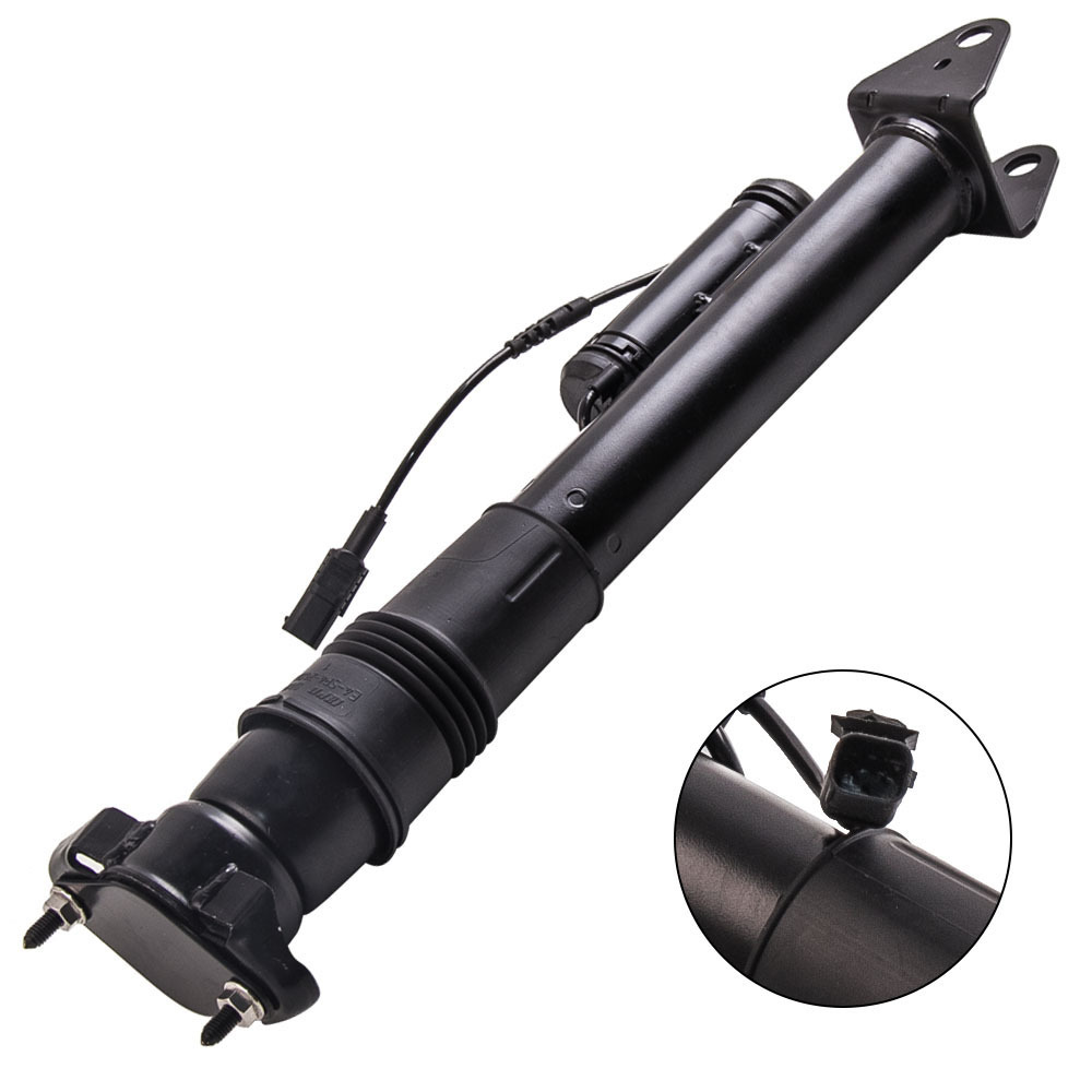 Jambe De Force Amortisseur Arrière compatible pour Mercedes Classe R W251 2513201831 Ads