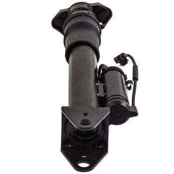 Jambe De Force Amortisseur Arrière compatible pour Mercedes Classe R W251 2513201831 Ads