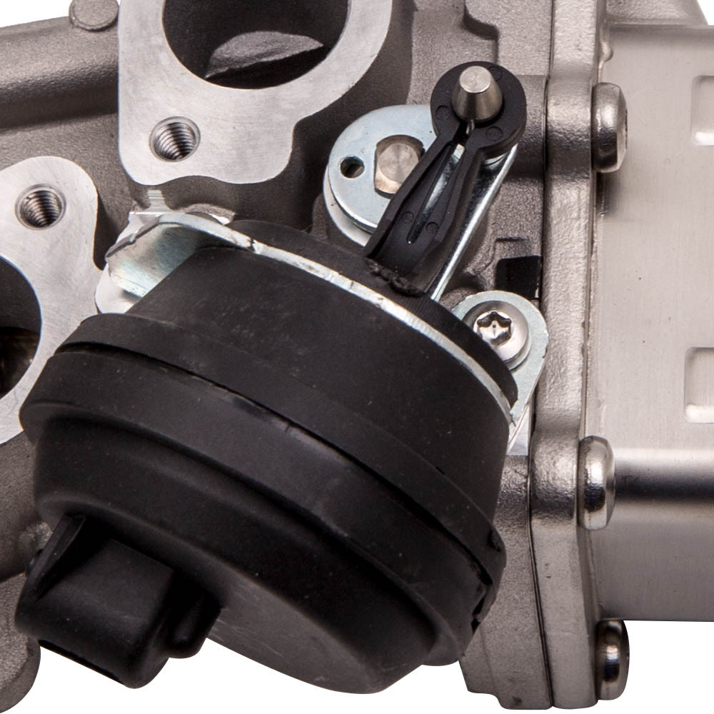 VANNE EGR Refroidisseur compatible pour VW AUDI A3 compatible pour SEAT SKODA 1.6Tdi 2.0Tdi 03L131512CF VANNE EGR Refroidisseur compatible pour VW AUDI A3 compatible pour SEAT SKODA 1.6Tdi 2.0Tdi 03L131512CF