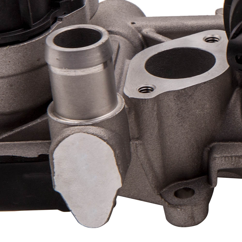 VANNE EGR Refroidisseur compatible pour VW AUDI A3 compatible pour SEAT SKODA 1.6Tdi 2.0Tdi 03L131512CF VANNE EGR Refroidisseur compatible pour VW AUDI A3 compatible pour SEAT SKODA 1.6Tdi 2.0Tdi 03L131512CF