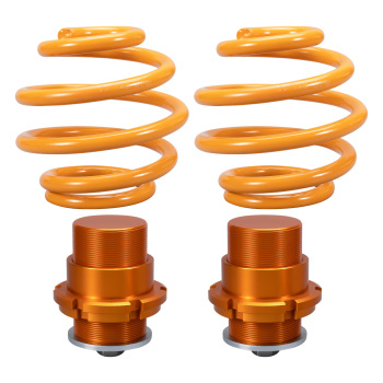 KIT Assetto Regolabile a Ghiera Ammortizzatore compatibile per Renault Clio II MK2 1998-2005