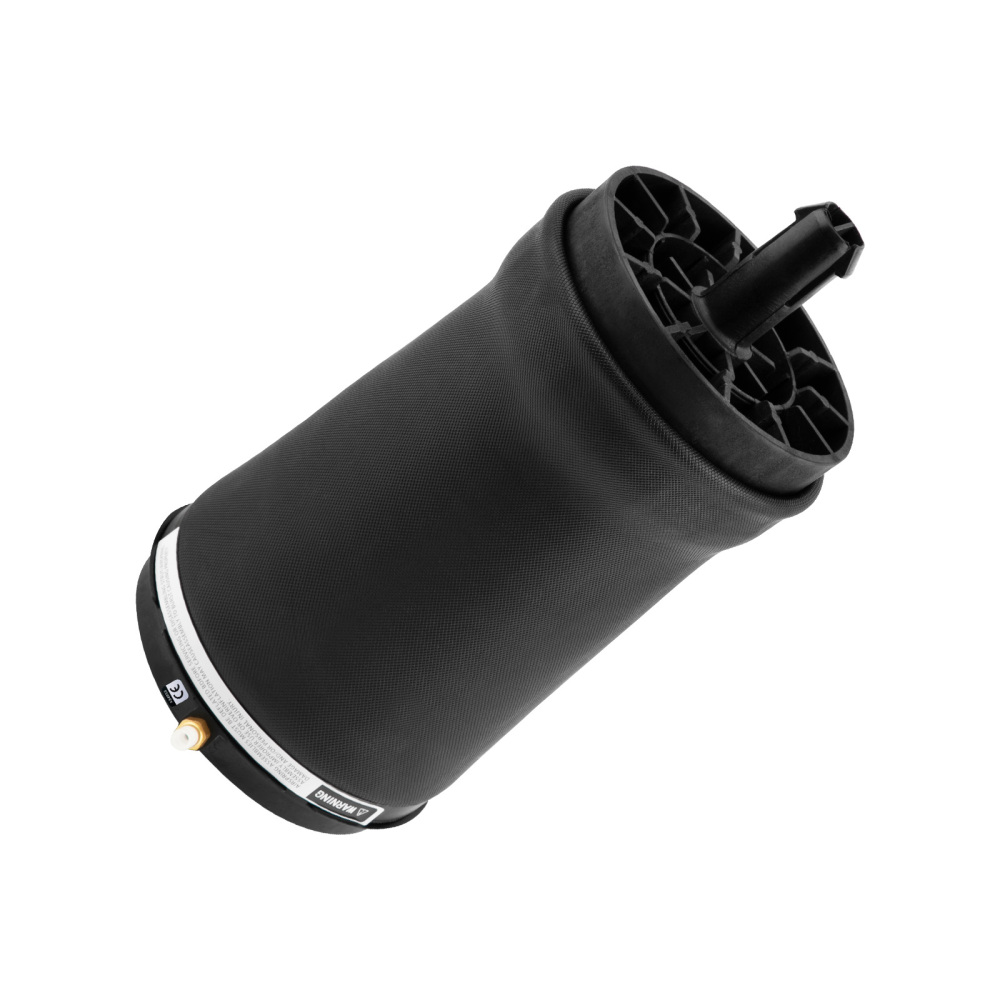 Borsa a sospensione pneumatica posteriore compatibile per Range Rover Sport L494 LR044853