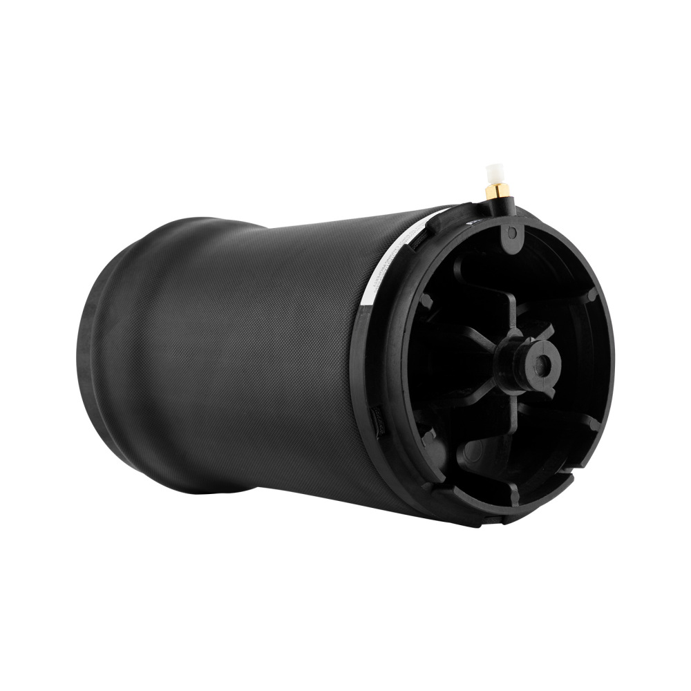 Borsa a sospensione pneumatica posteriore compatibile per Range Rover Sport L494 LR044853