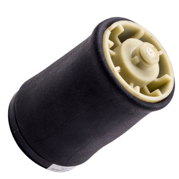 Arrière Droite suspension pneumatique Air Ressort compatible pour BMW E53 X5 37126750356 new