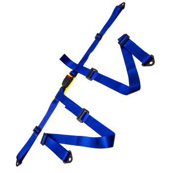 2 Packs Universal 4 Point 2" Safety Harness Racing compatible for Seat Belt Mounting Blue
