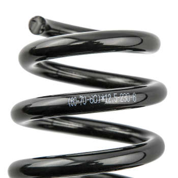 Coilovers Spring Shock Struts compatible for BMW 3-Series Saloon 320i F30 2012-2015 Lowering Kit