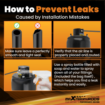 Sospensione Pneumatica Anteriore RNB501580 SX DX compatibile per Range Rover Sport LS