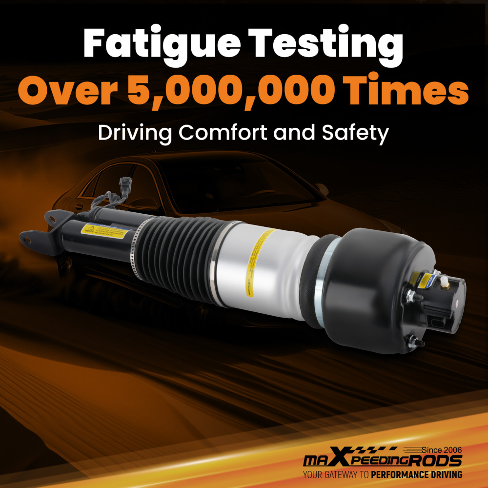 Sospensione Pneumatica Anteriore RNB501580 SX DX compatibile per Range Rover Sport LS