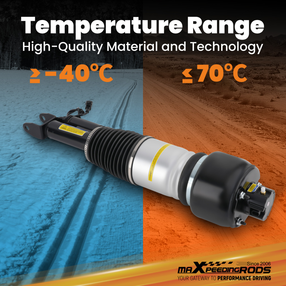 Sospensione Pneumatica Anteriore RNB501580 SX DX compatibile per Range Rover Sport LS