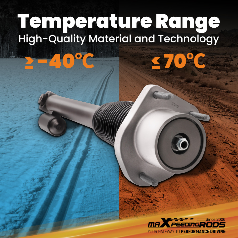 Sospensione Ammortizzatore Posteriore compatibile per Land Rover Range Rover IV L405 2012-