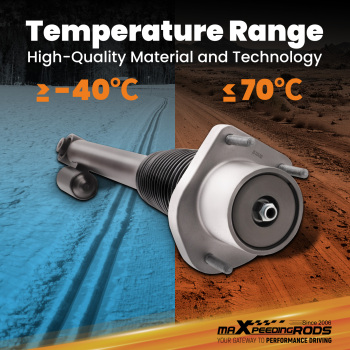 Sospensione Ammortizzatore Posteriore compatibile per Land Rover Range Rover IV L405 2012-