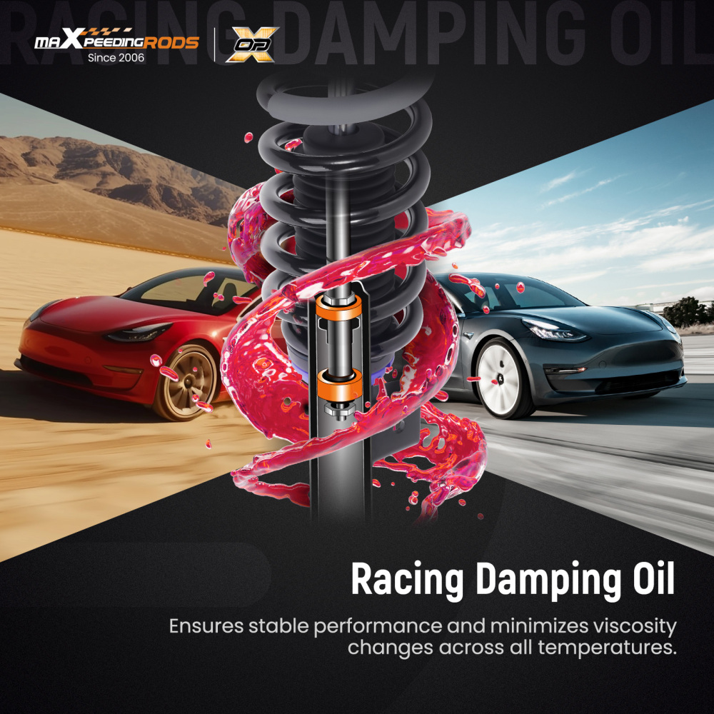 MaXpeedingrods Coilovers Lowering Kit compatible for Tesla Model 3 2017+ RWD Height Adjustable	