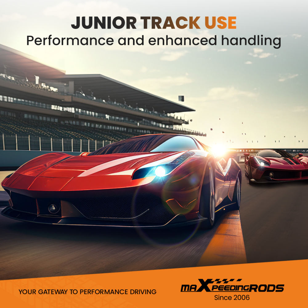 Kit Assetto a Ghiera Ammortizzatori compatibile per Ford Mustang Base SN95 1994-2004