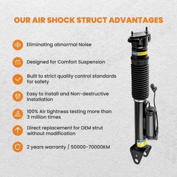 Posteriore Sospensione Pneumatica compatibile per Mercedes-Benz M GL W166 X166 1663200930