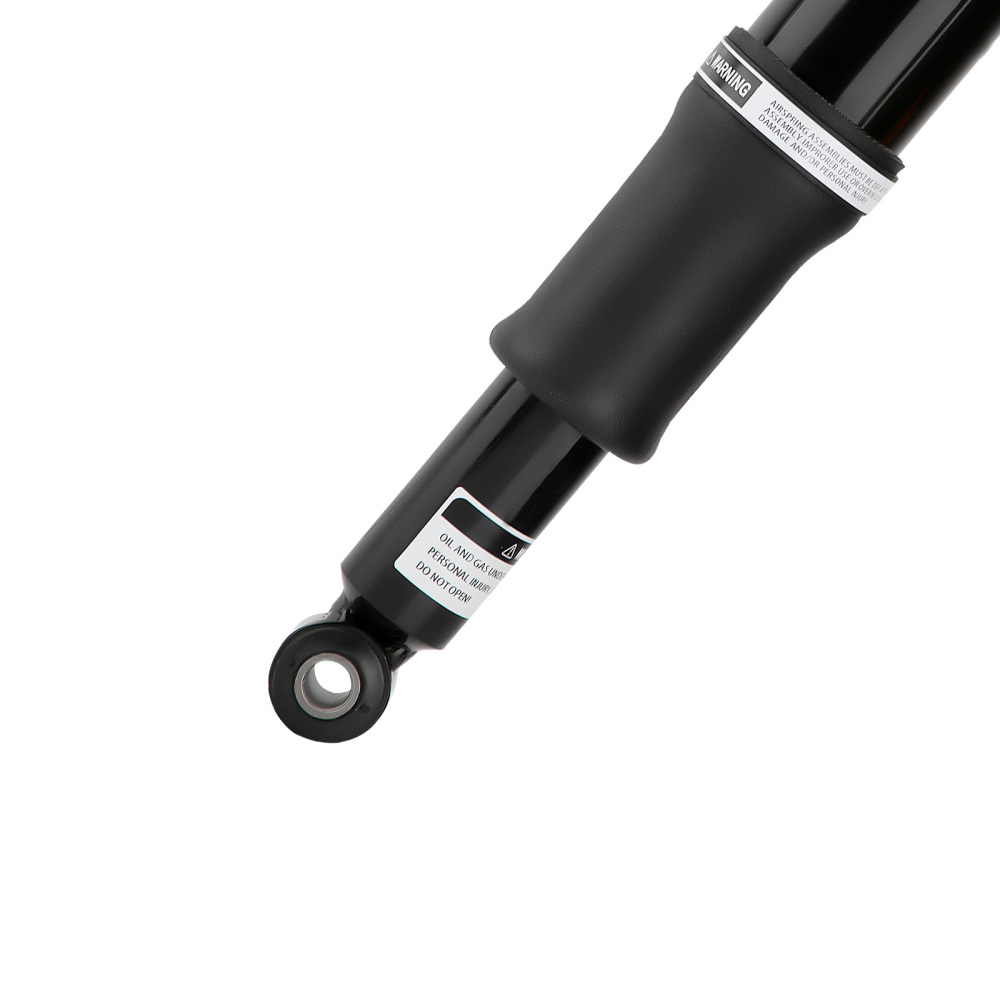 Rear Air Ride Suspension Set For Touring 1994-2020