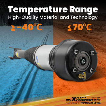 Aria Sospensioni compatibile per Jaguar XJ-Series X350 X358 XJ6 XJ8 XJR Anteriore C2C41349