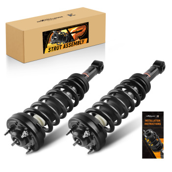 Compatible for Ford F-150 2009-2013 maXpeedingrodss Strut Assembly