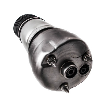 Sospensioni Pneumatiche compatibile per PORSCHE Panamera 970 10-14 Molla Aria97034305211