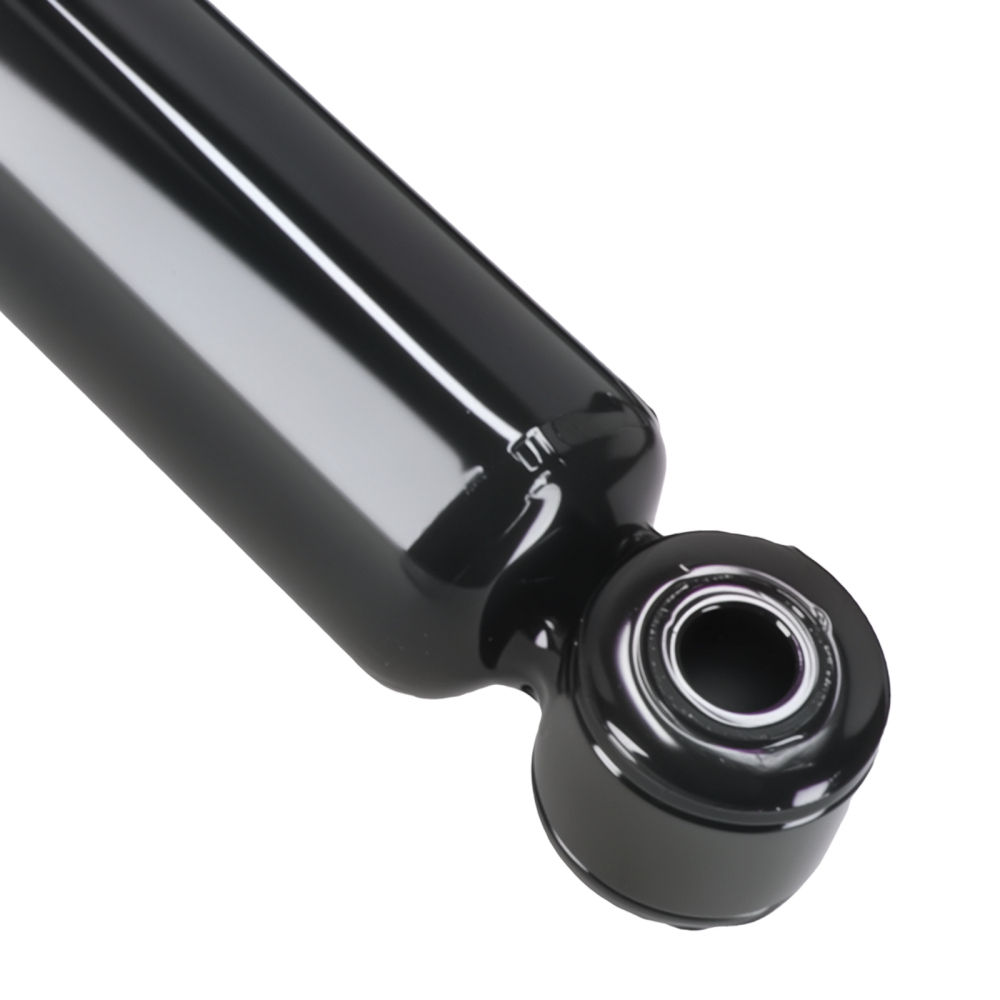 Suspension Rear Struts Absorbers compatible for Ford F-150 1997-2003 F-150 Heritage 2004