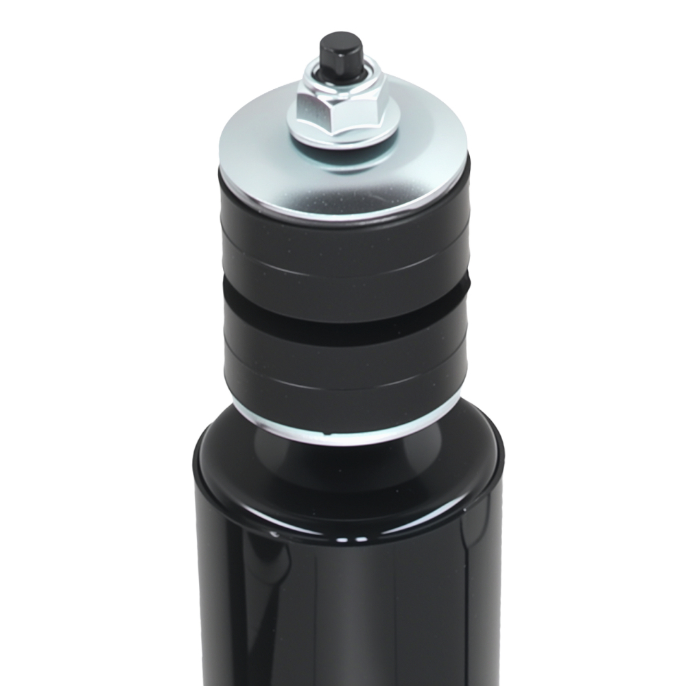 Suspension Rear Struts Absorbers compatible for Ford F-150 1997-2003 F-150 Heritage 2004